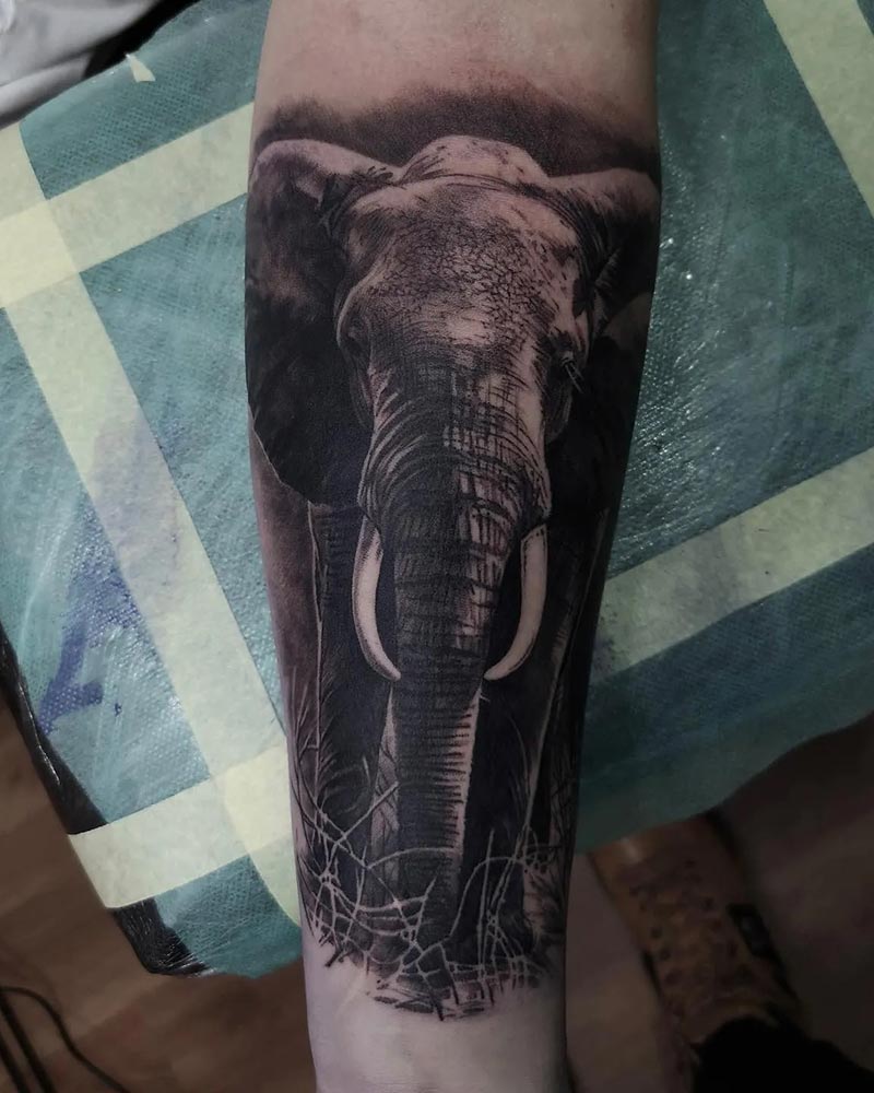 Tatouage Elephant Jacek Fleran Tatouage réaliste noir et gris par Jacek Fleran chez Leto Tattoo Studio