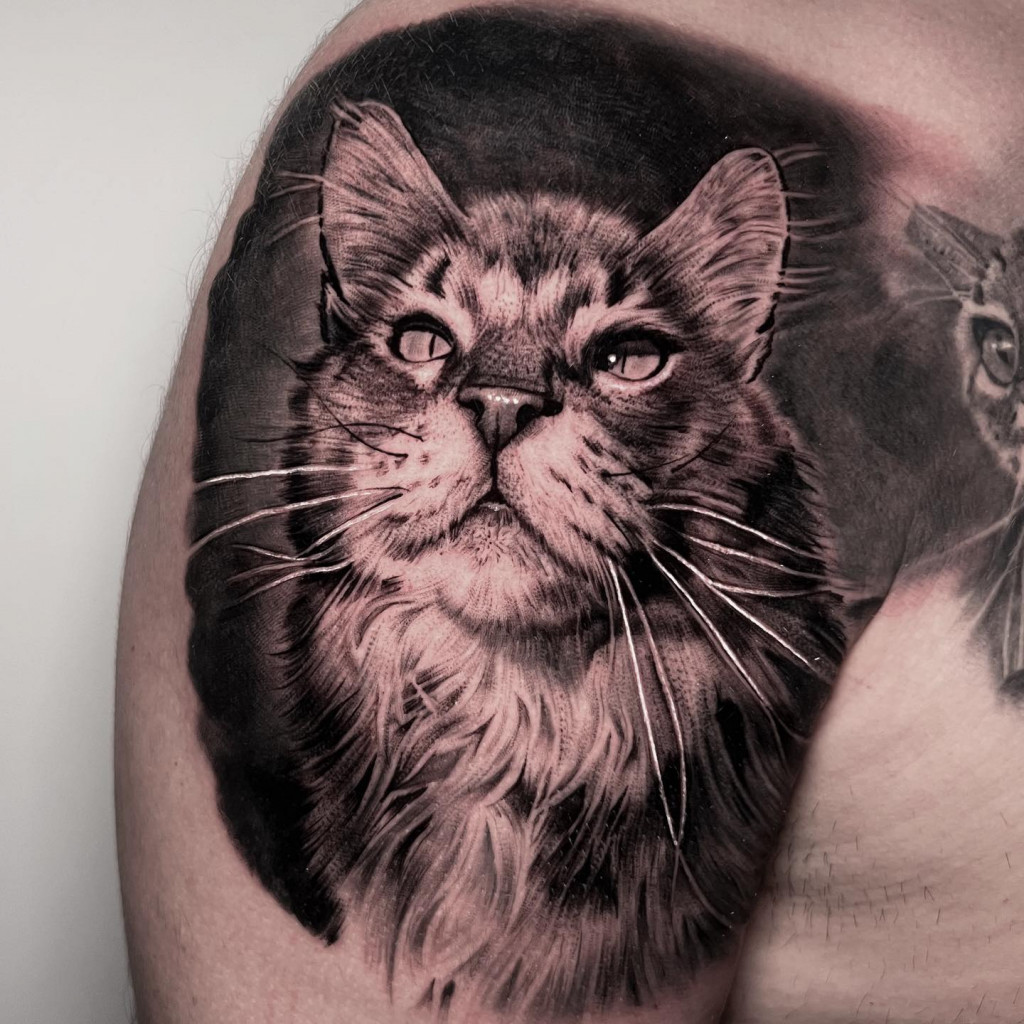 Tatouage portrait de chat, antonio ragone