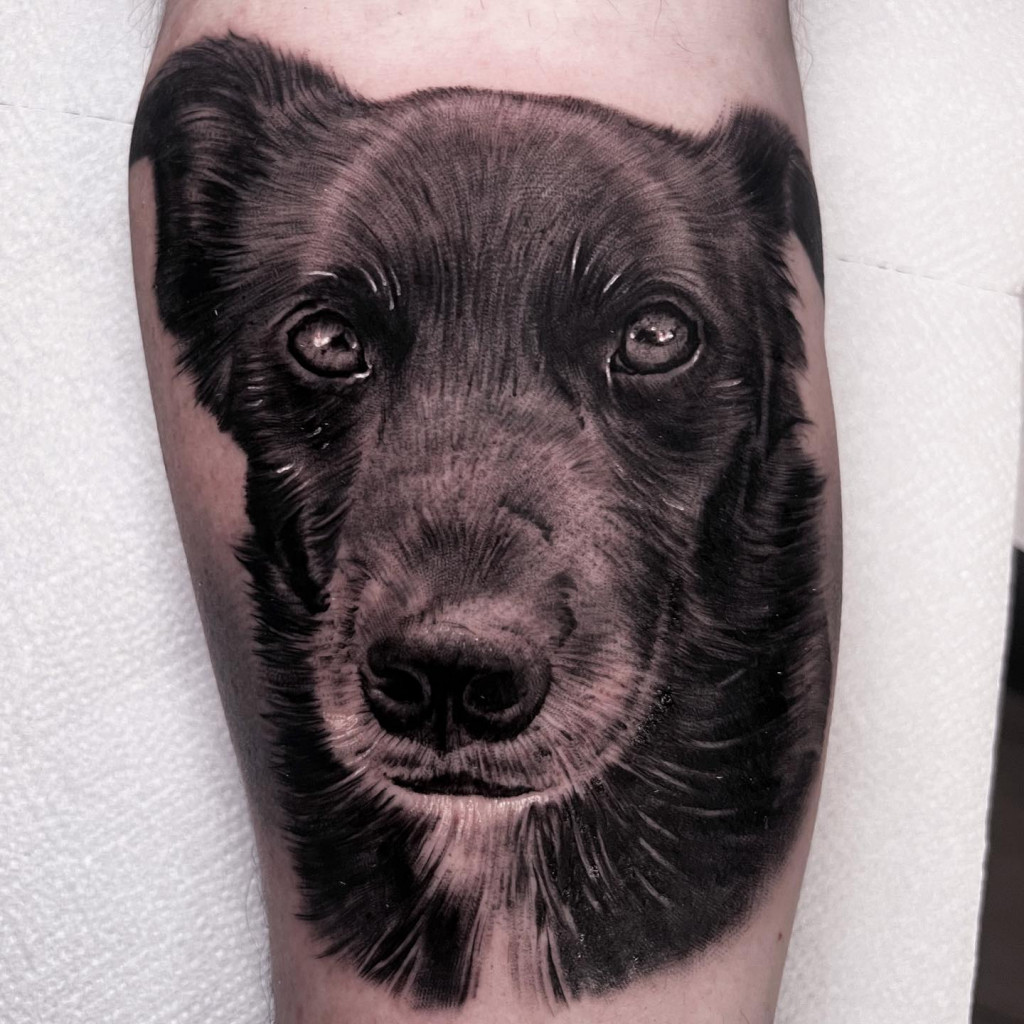Tatouage portrait de chien Leto tattoo Suisse