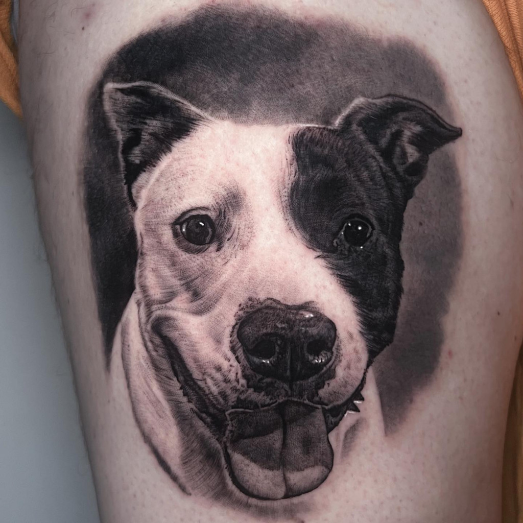 Tatouage portrait de chien Antonio Ragone