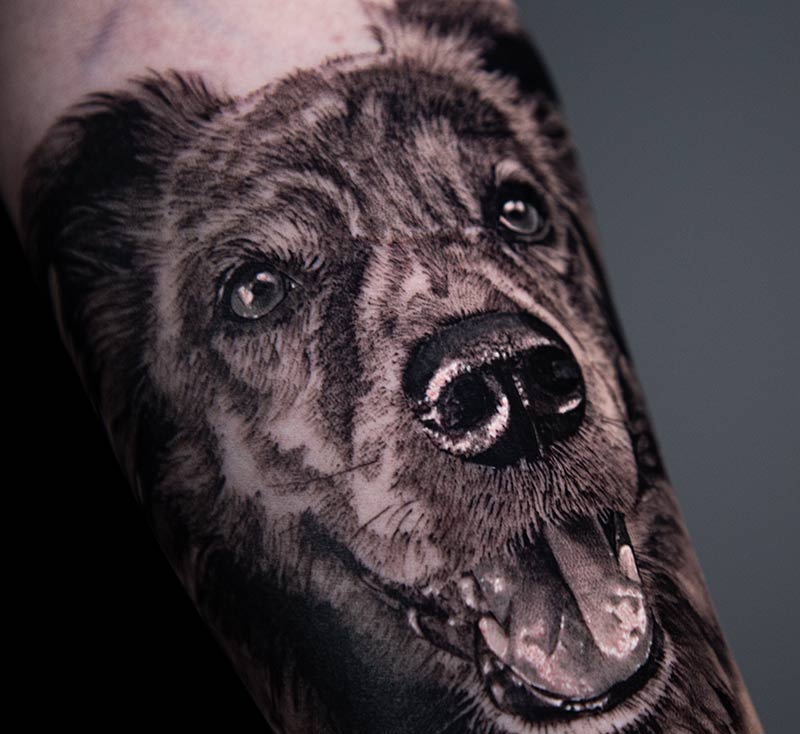 Apprenez à tatouer une chien réaliste avec Angélique Grimm
