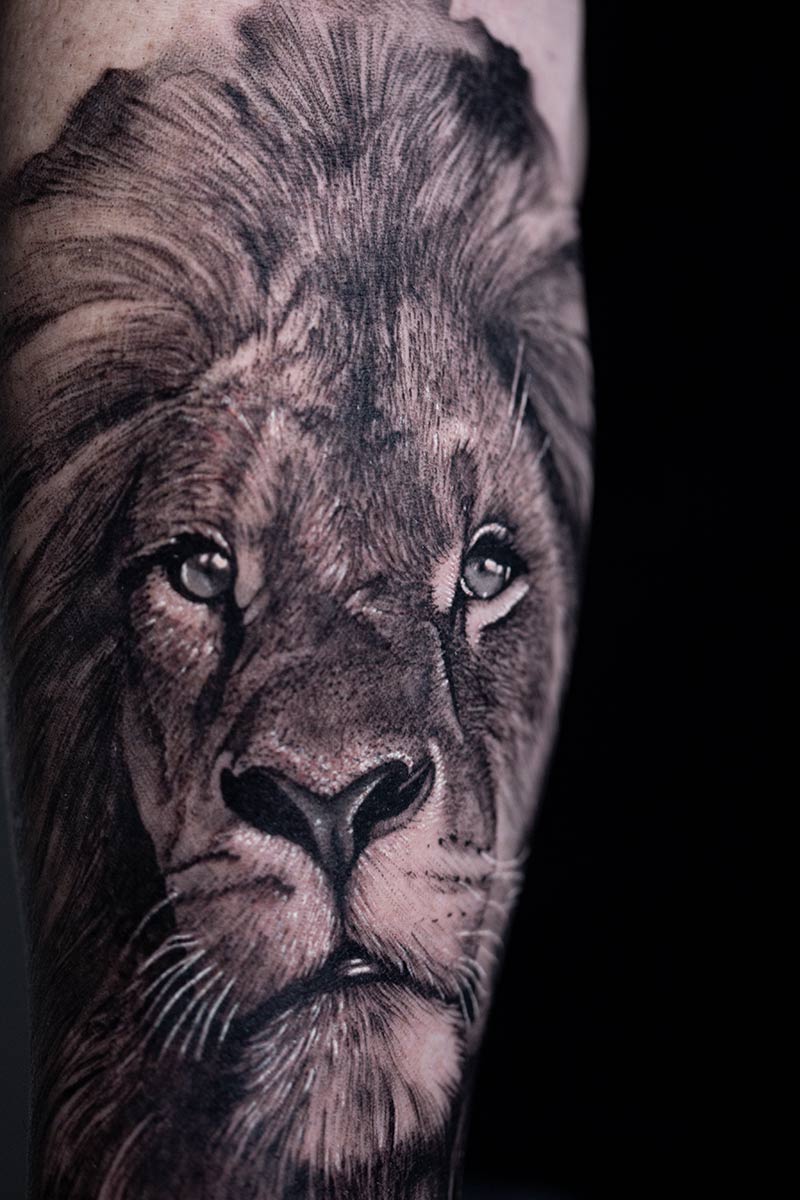 Apprenez à tatouer une lion réaliste avec Angélique Grimm