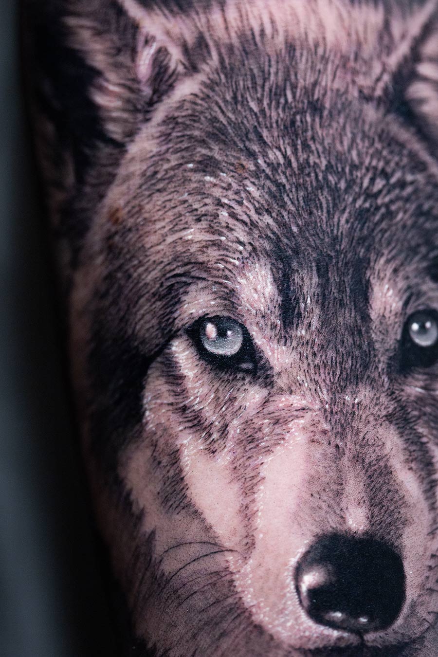 Séminaire-tatouage-loup-realiste-formation-angélique-grimm